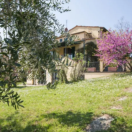 Independent Loft On Florence'S Hills-2